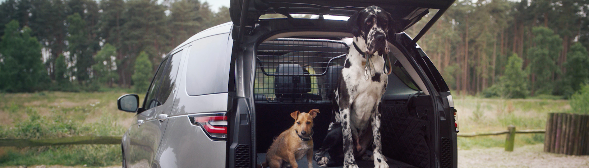 Land Rover Dog Owners