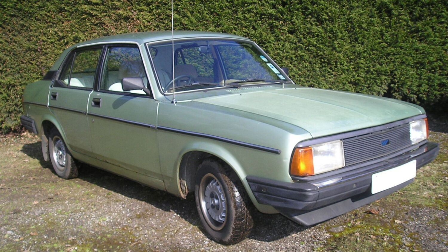 Morris Ital