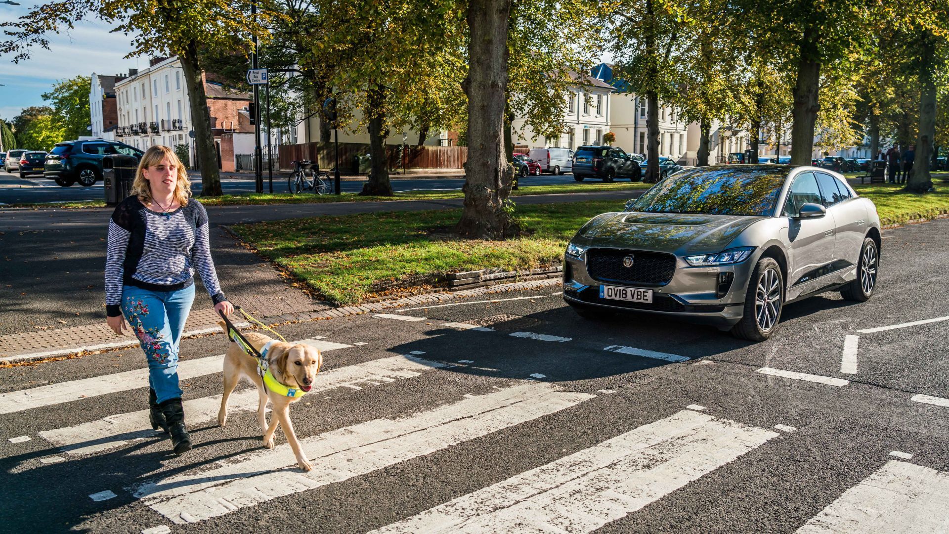 Jaguar Safety