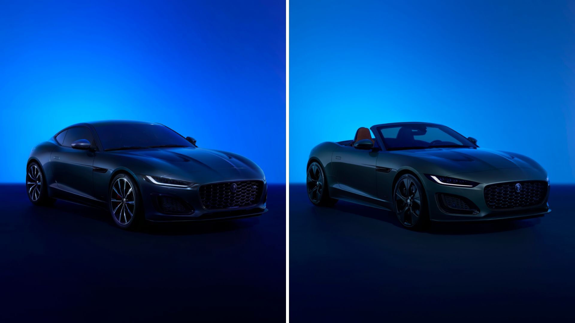 F TYPE 75th Edition