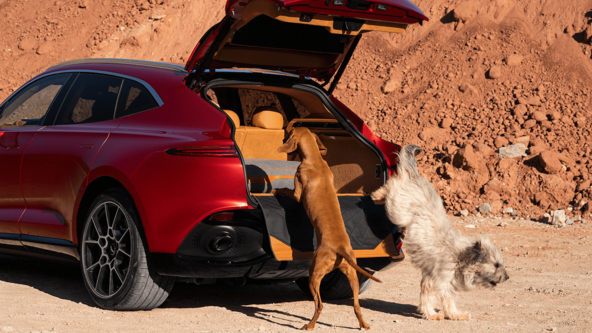 Aston Martin rear bumper protector