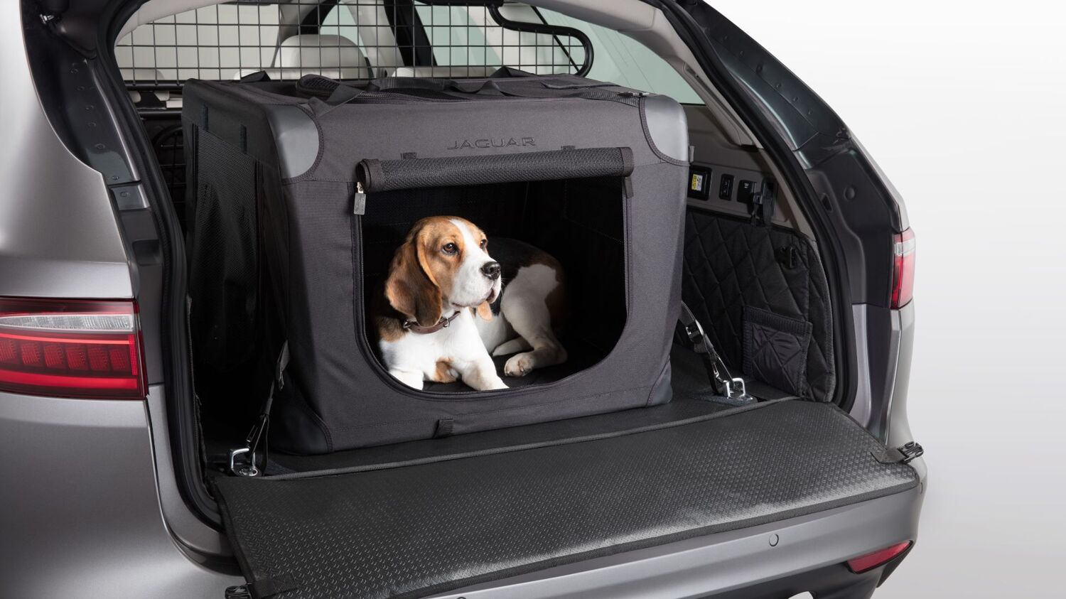 Jaguar pet carrier
