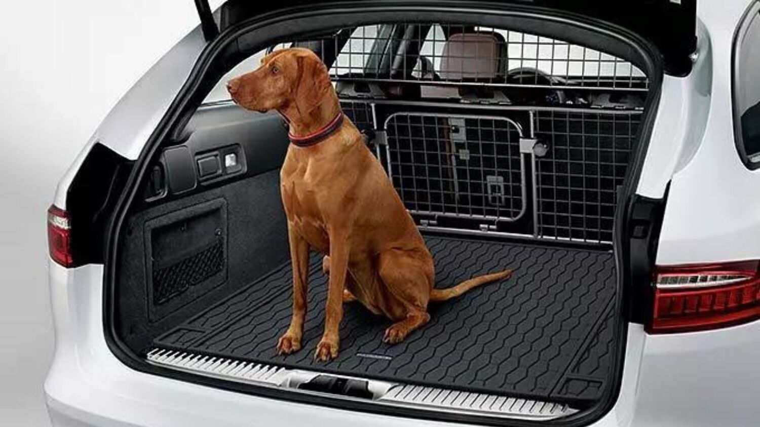 Jaguar pet pack with luggage compartment mat