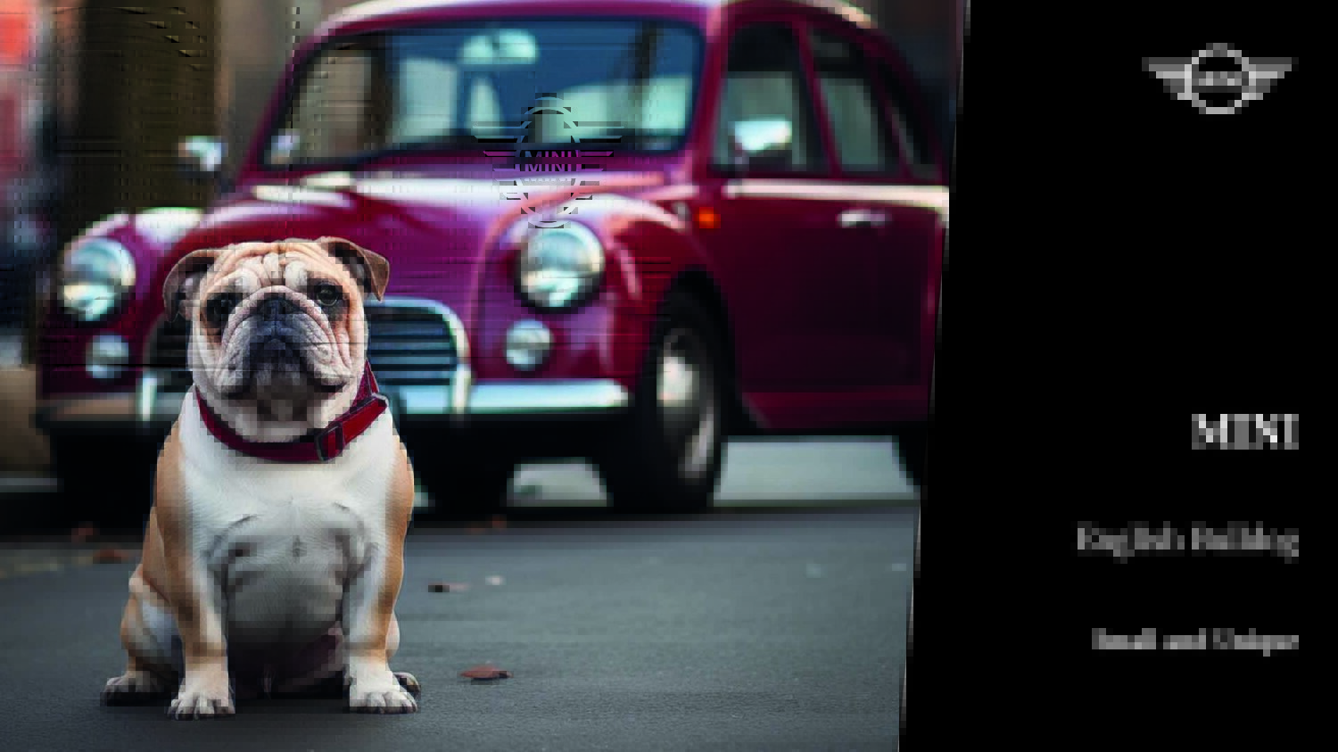 Dog Imagery (1920 x 1080)2