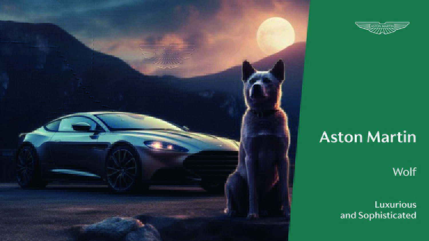 Dog Imagery (1920 x 1080)5