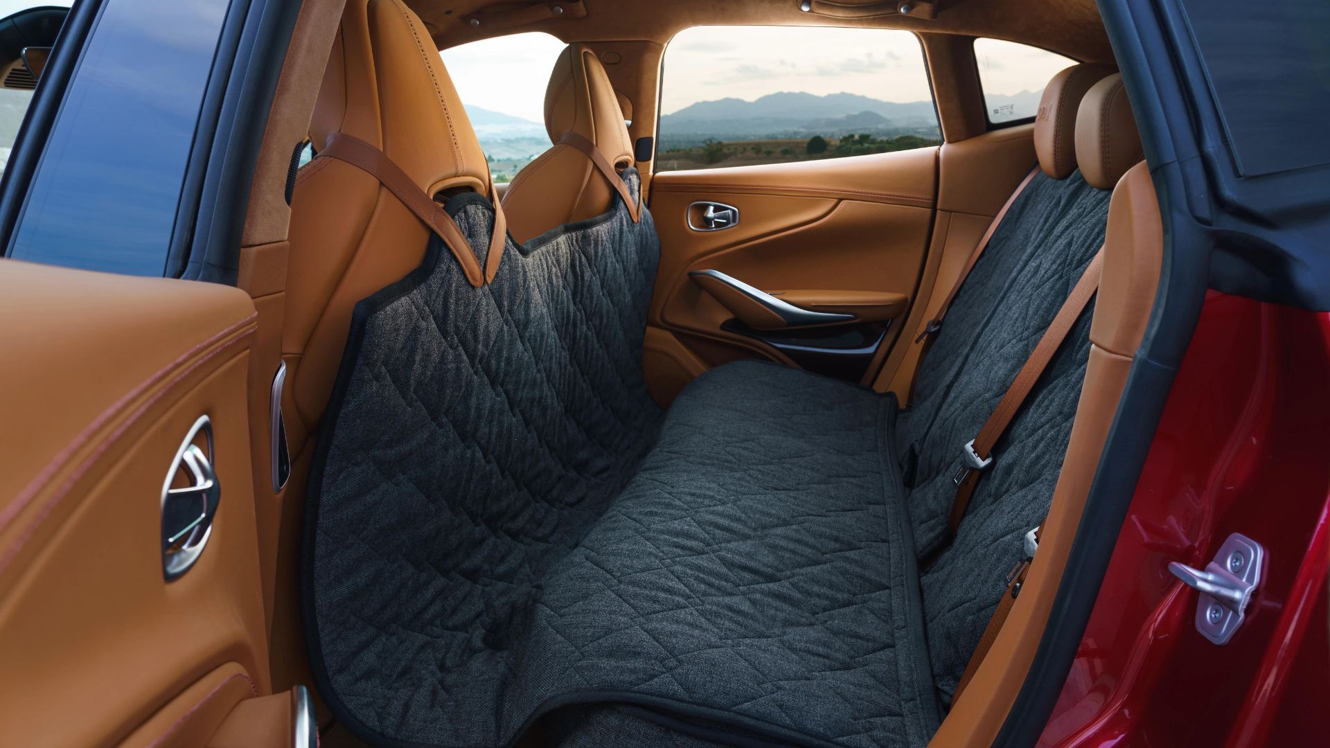Aston Martin DBX Pets