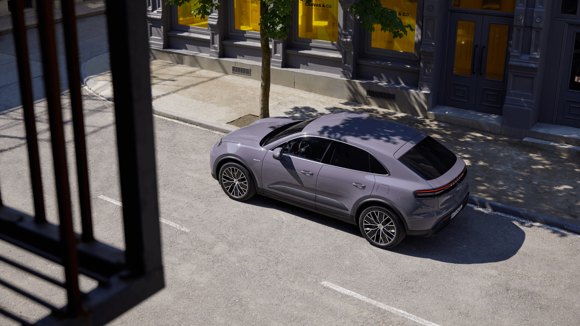 Macan