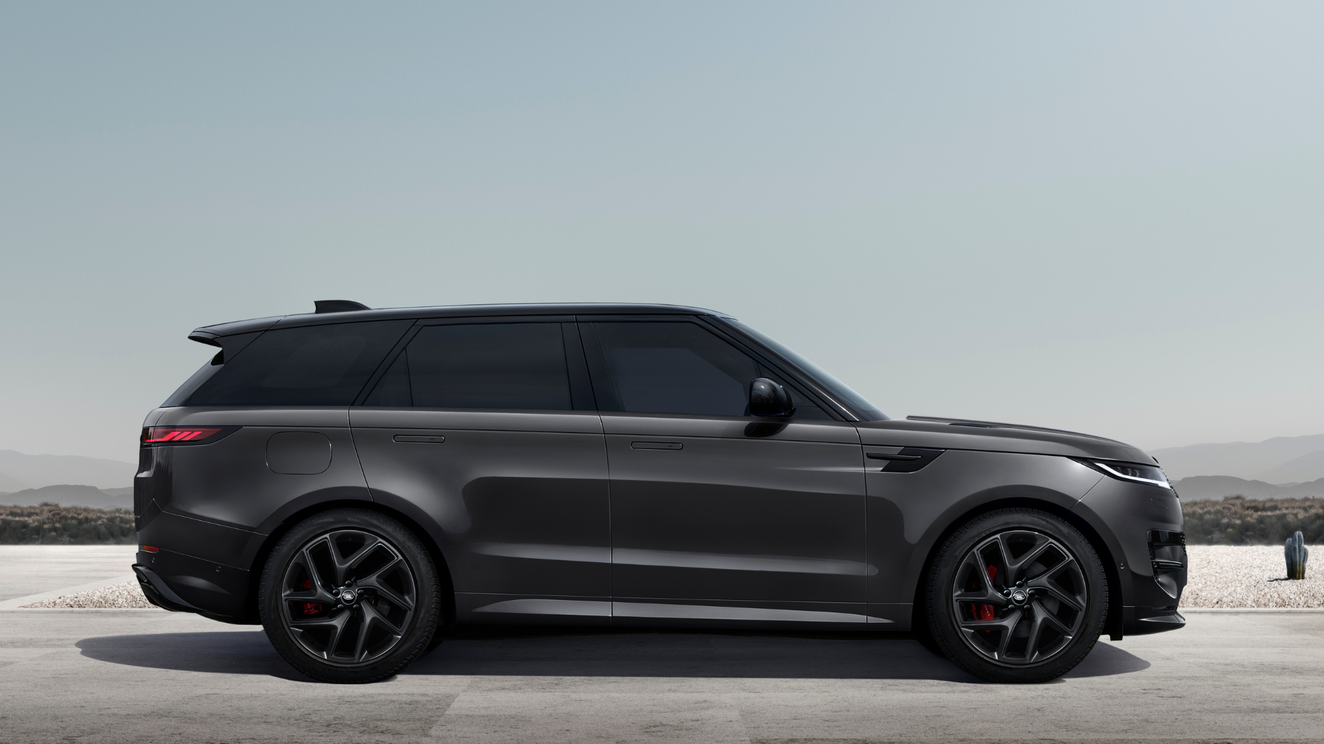 Sport Edition 1