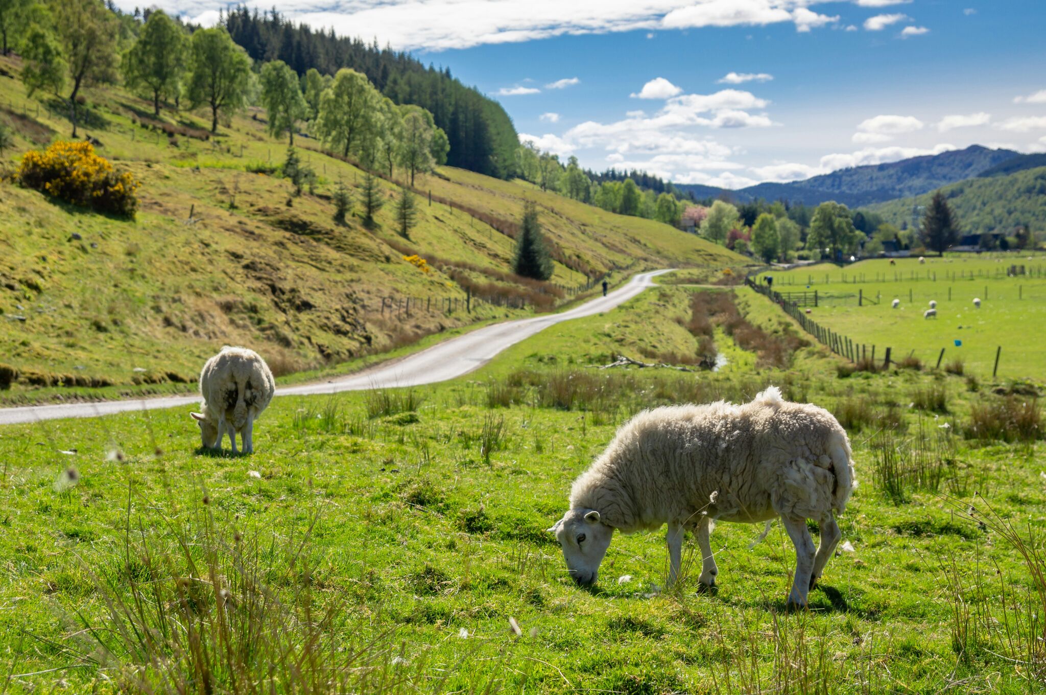 Springtime road hazards to watch out for